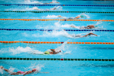 Sportschwimmer ziehen Ihre Bahnen im Schwimmbad