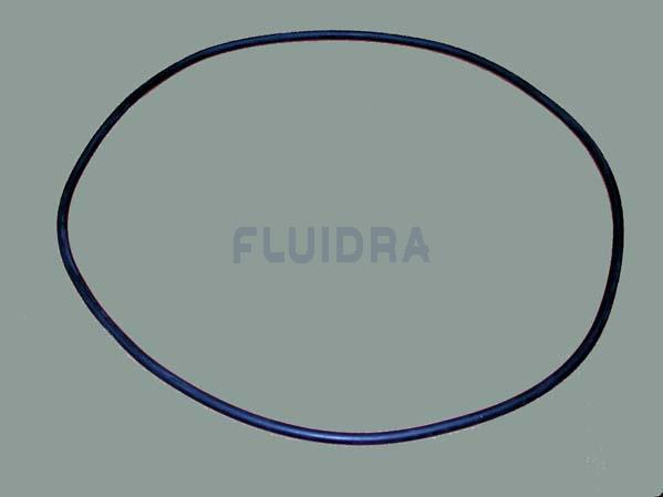 O-Ring 500 für Astral-Filter Bilbao