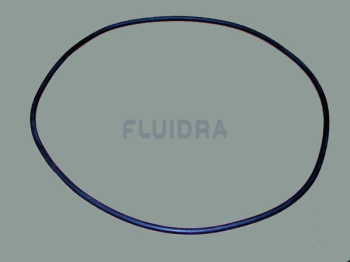 O-Ring 500 für Astral-Filter Bilbao