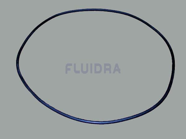 O-Ring für Astral-Filter Bilbao