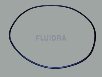 O-Ring für Astral-Filter Bilbao