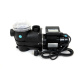 Beta Pumpe 5 m³/h - 2.Wahl